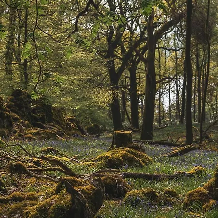 Merewood 4* Windermere