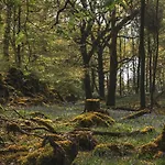 Merewood 4* Windermere