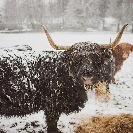 莫热伍德乡村酒店 温德米尔