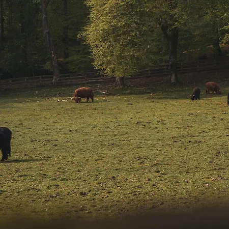 莫热伍德乡村酒店 温德米尔