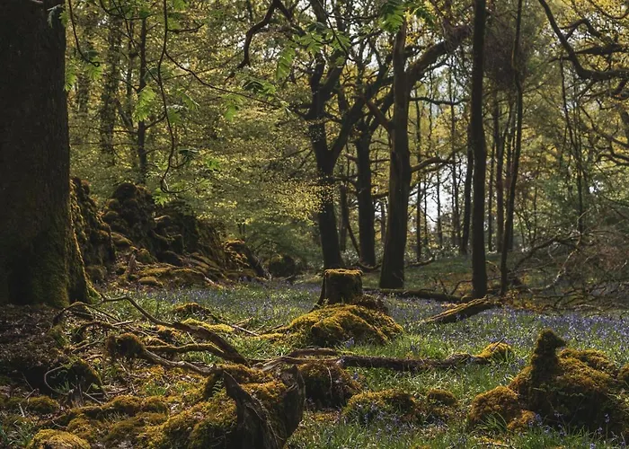 Merewood 4* Windermere